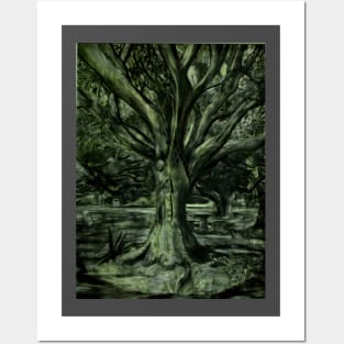 Live Oak Tree Posters and Art